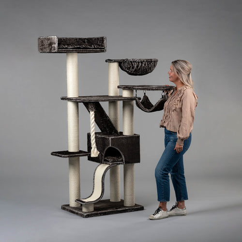 Kilimandjaro Taupe Grå Crown