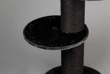 Maine Coon Sleeper Blackline Mørkegrå Crown Plus