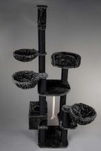 Catdream de Luxe Blackline Mørkegrå