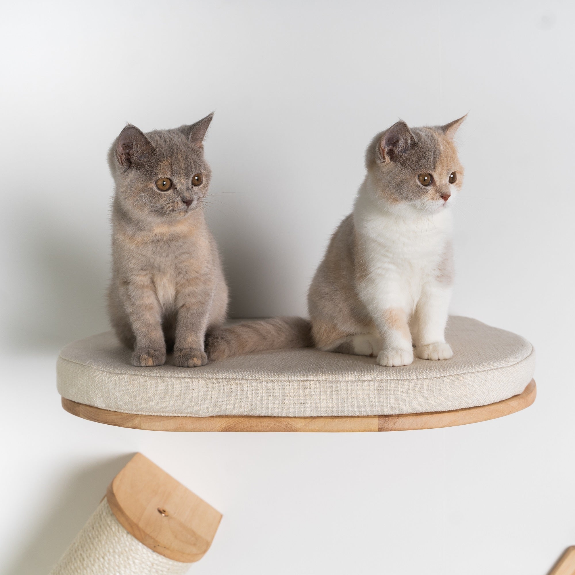 Klatrevæg katte - Katteseng de (Beige) – RHR Pets DK