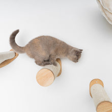 Klatrevæg til katte - Sisalstang Sæt (Beige)
